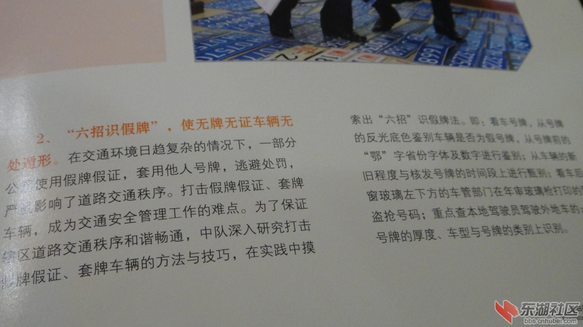 DSC07742.JPG