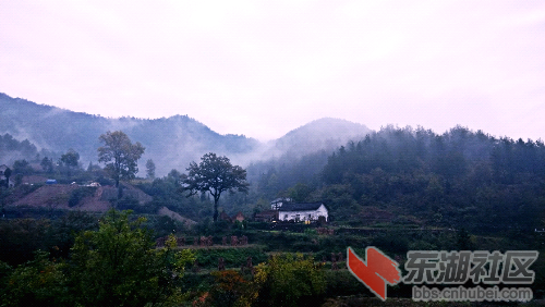 IMG_20141021_074208.jpg