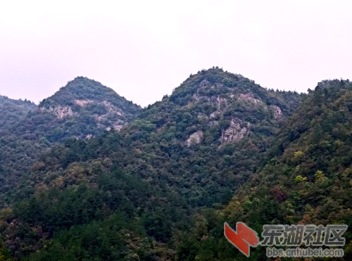 IMG_20141017_113713.jpg
