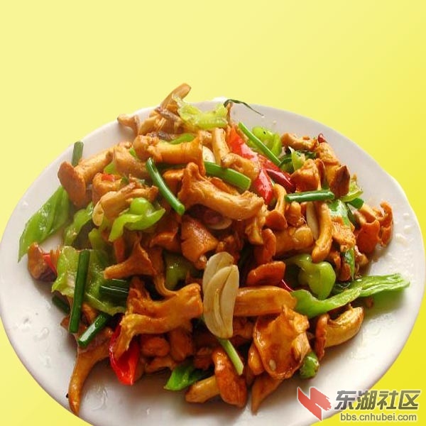 菌菇.jpg