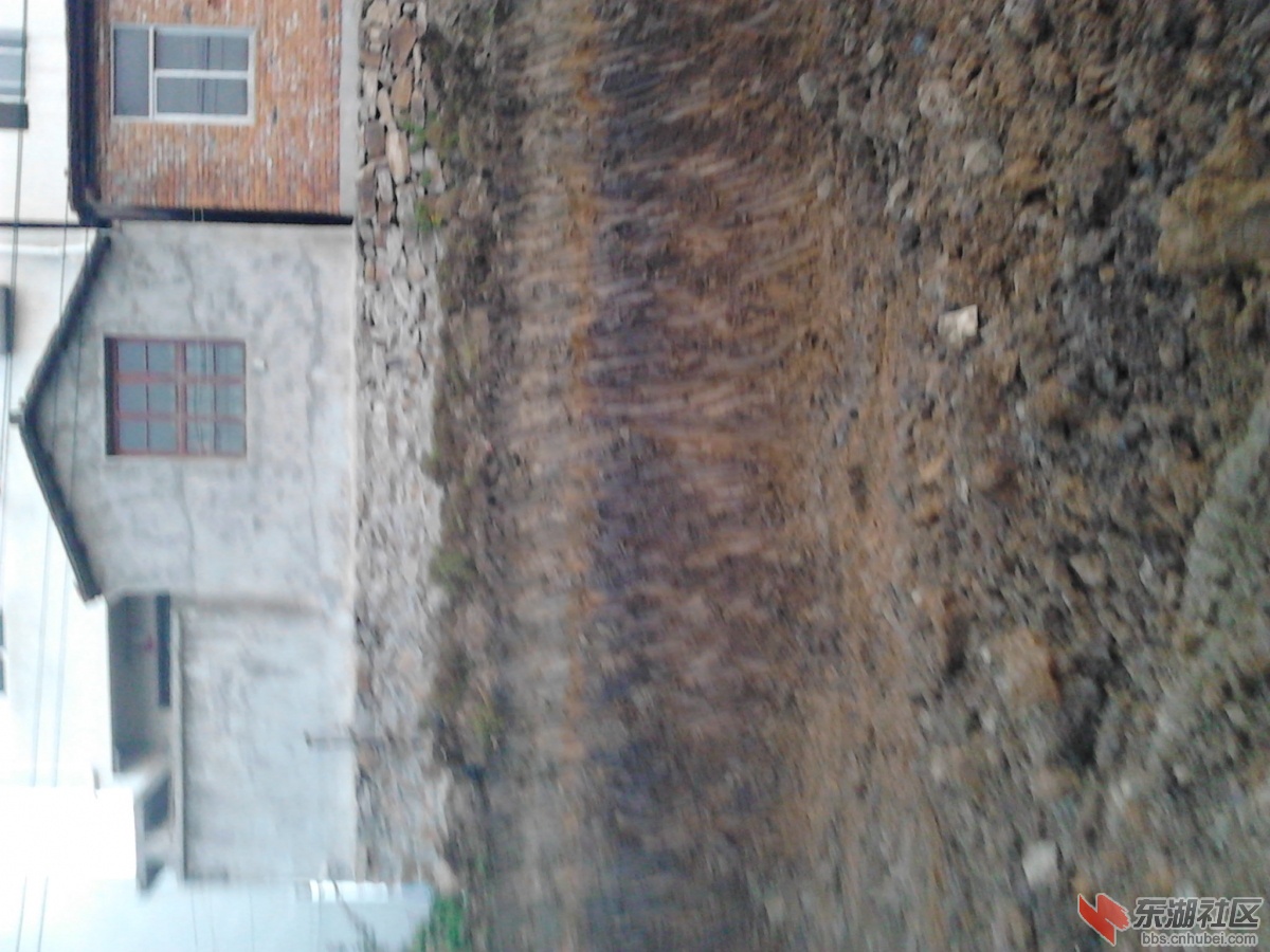 IMG_20130313_165947.jpg