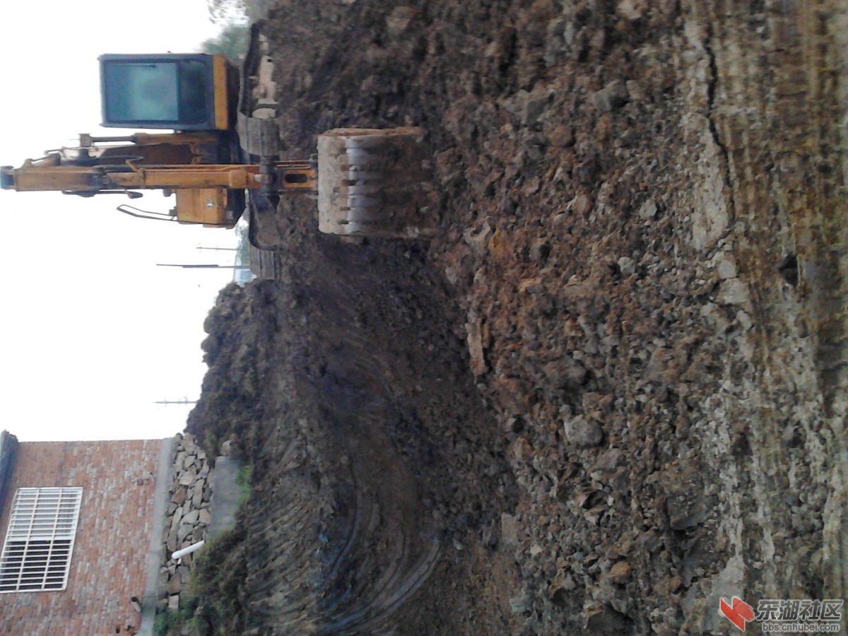 IMG_20130313_165959.jpg