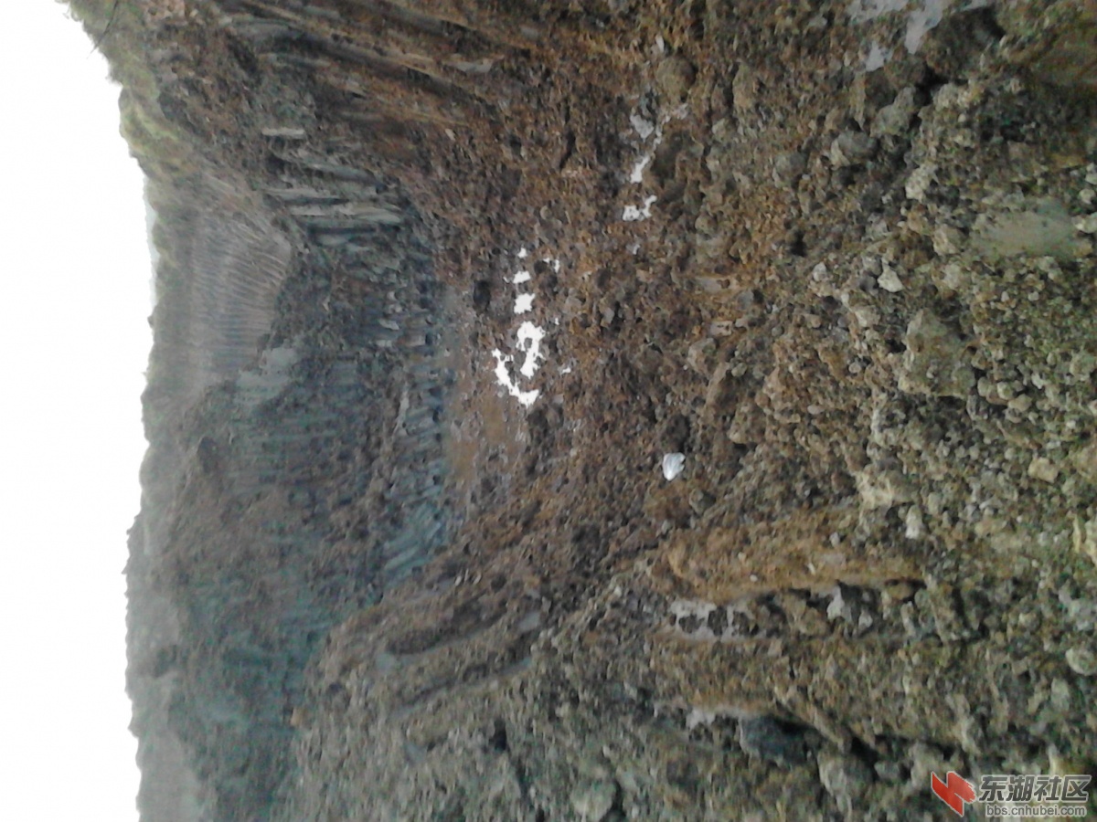 IMG_20130313_170006.jpg