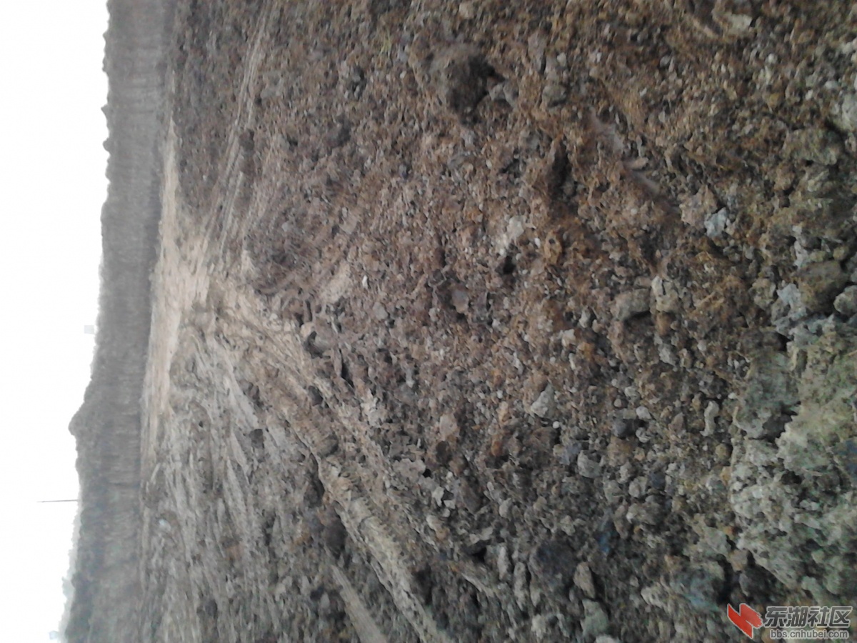 IMG_20130313_170014.jpg