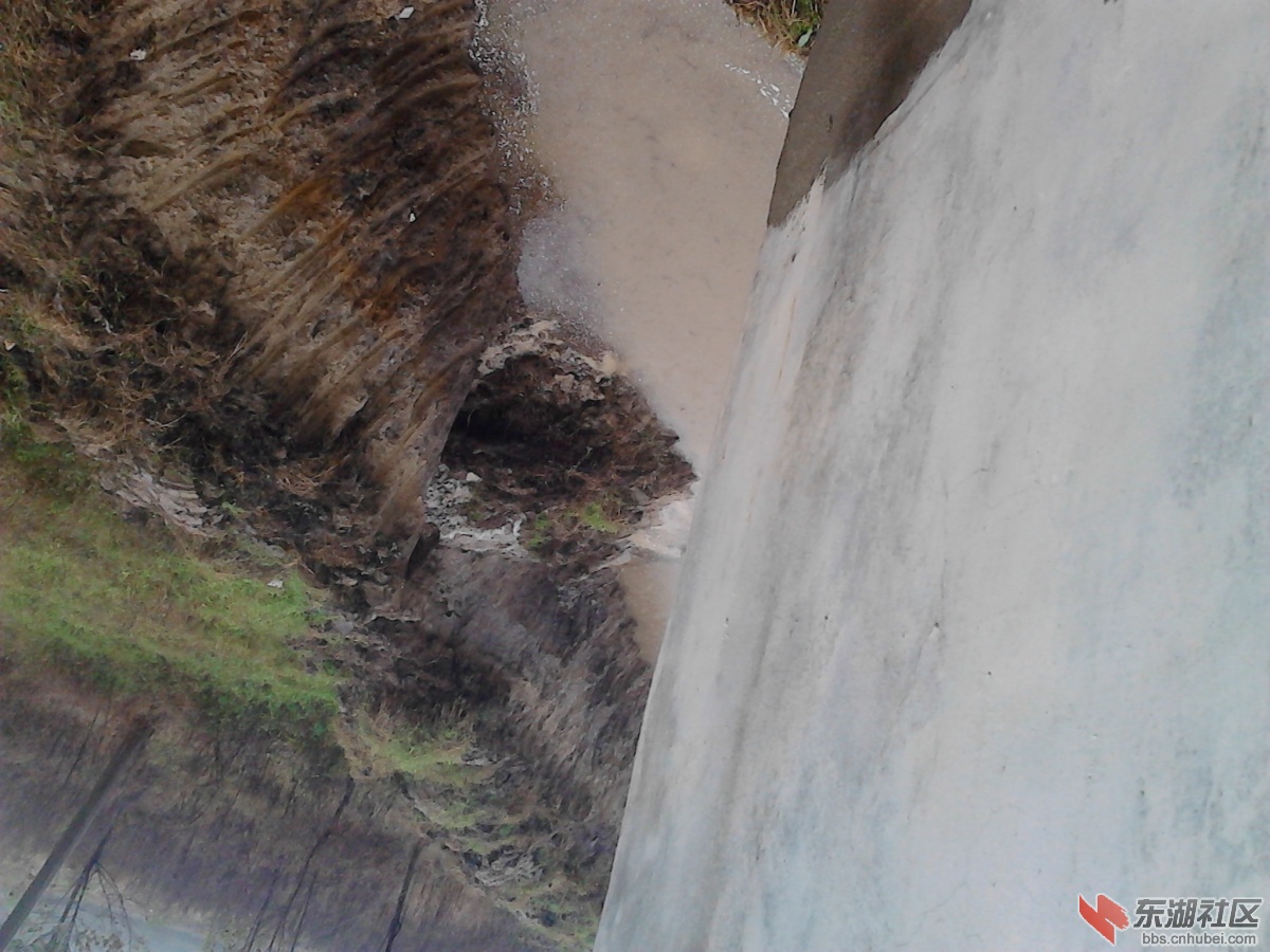 IMG_20130401_194431.jpg