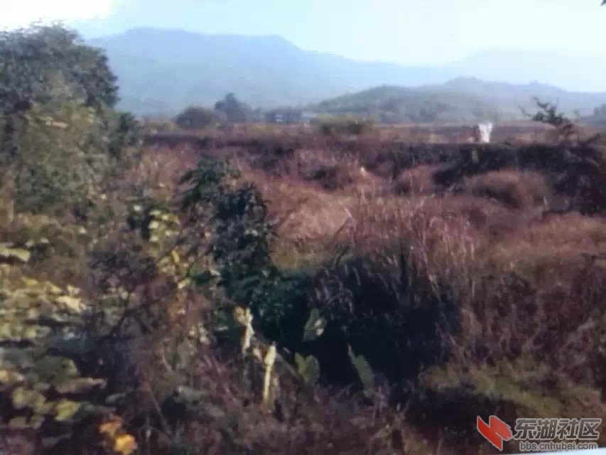 变更后的河道