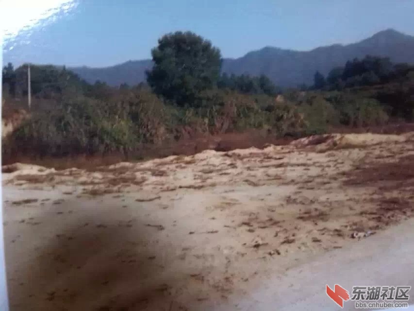 压的粮田