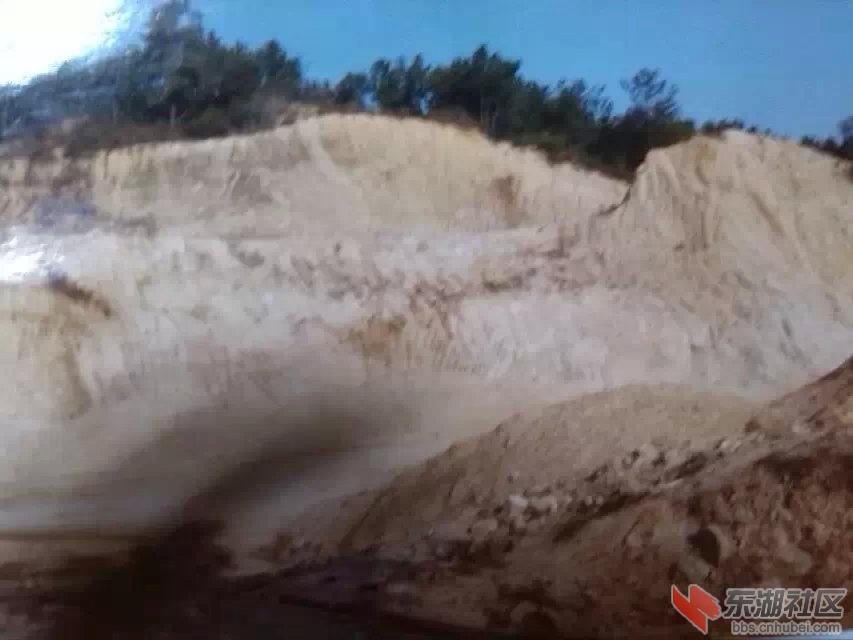 二次轧沙场所毁山林