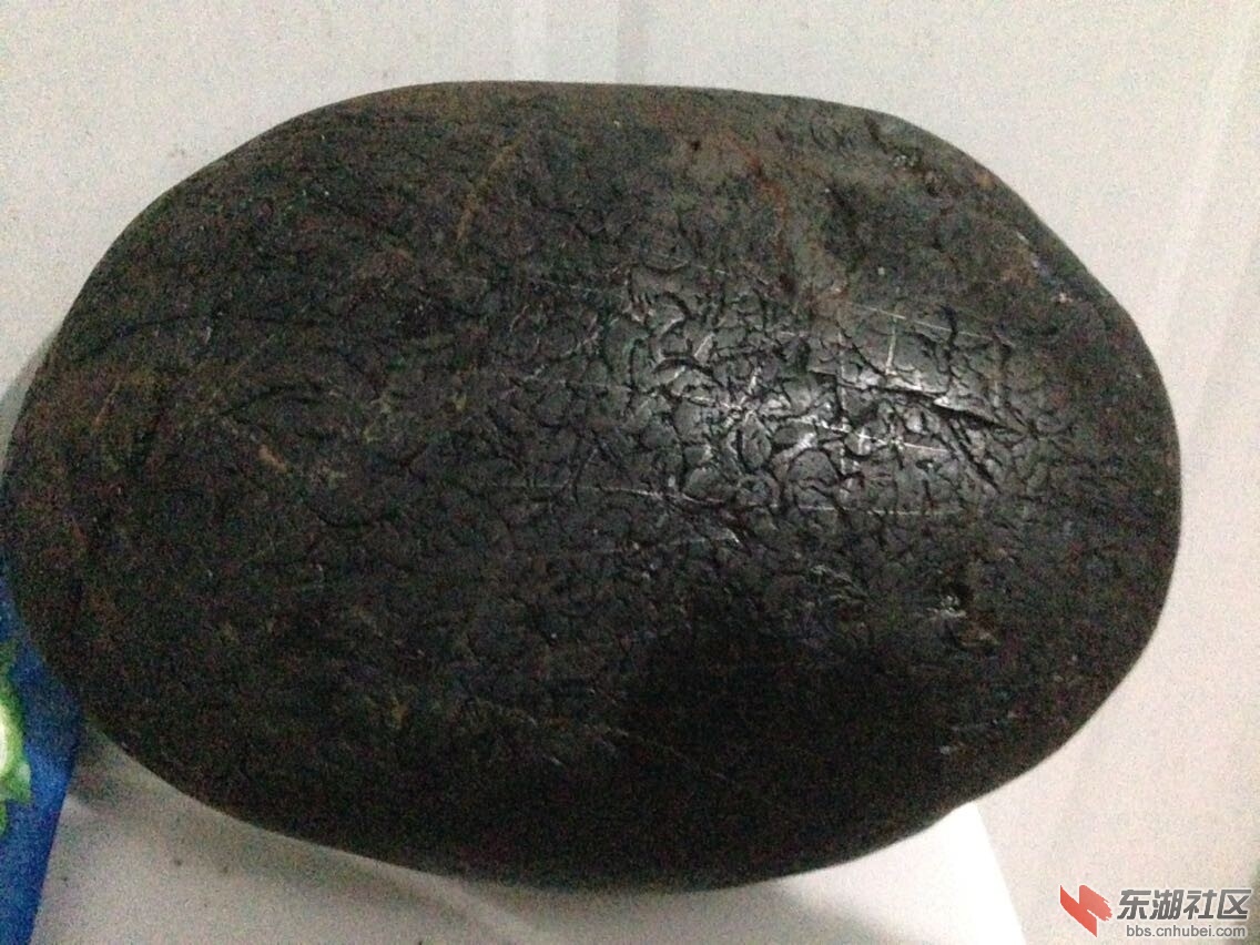宽10cm