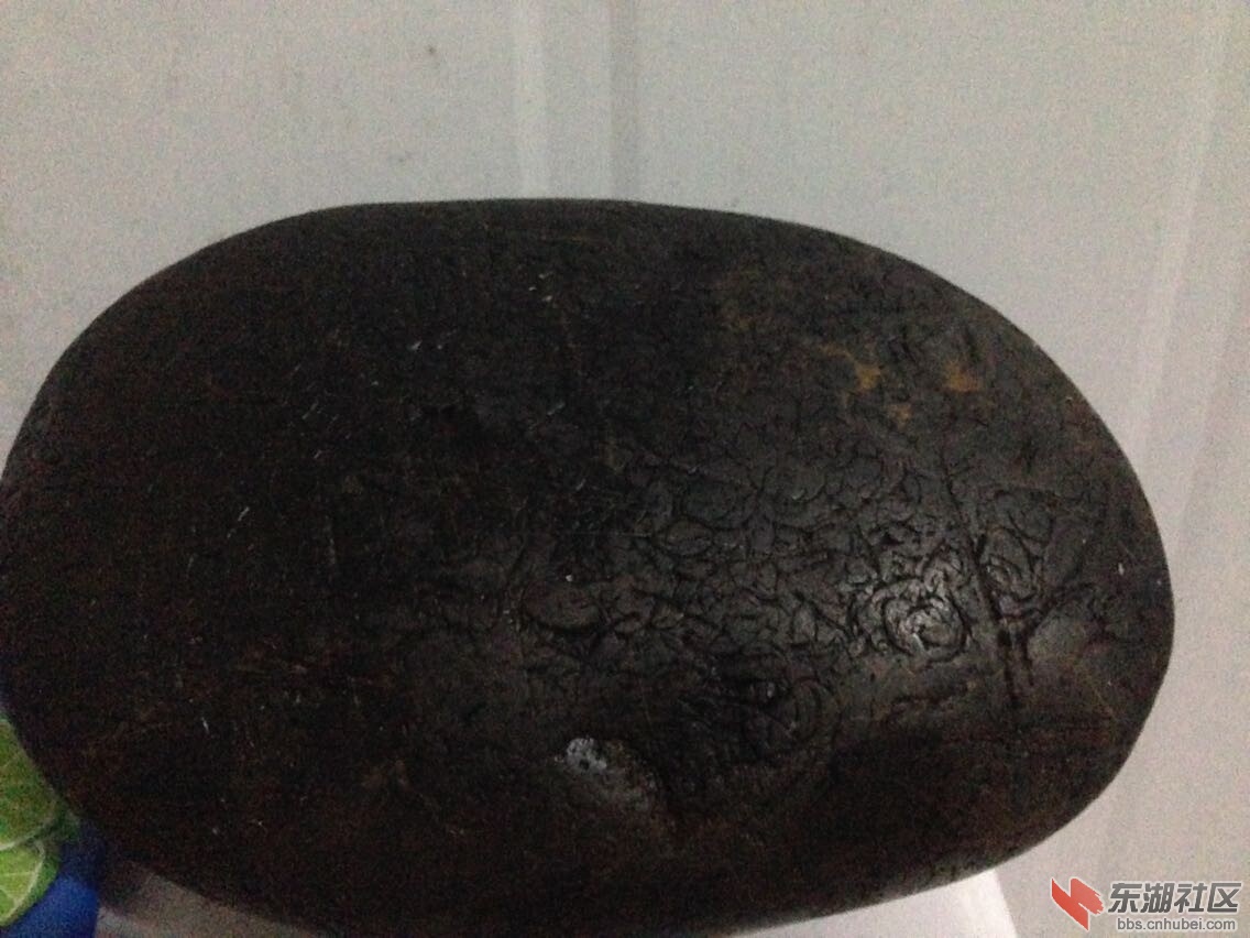 长14cm