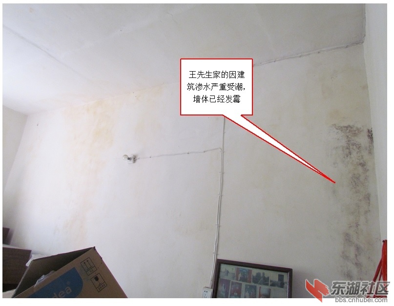 附件5  王先生家墙体已经有不同程度的发霉.jpg