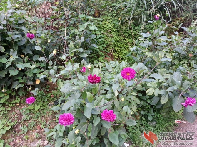 fc7c1a0a57ed4c65a7ee6562dc7ad35b_R_670_10000.jpg