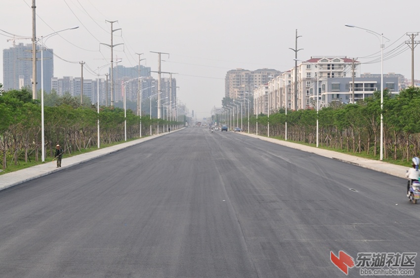 仙桃创建全国园林城市的道路刷黑的施工场景（4）_副本.jpg