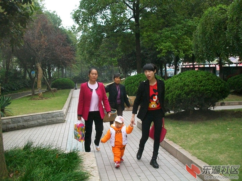 ALIM9370_副本.jpg