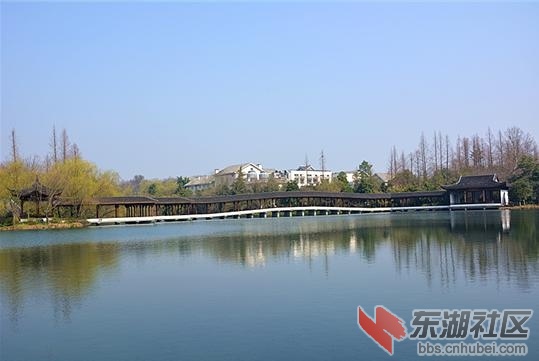 论坛帖l5配图1.jpg