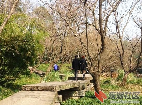 论坛帖l5配图3.jpg