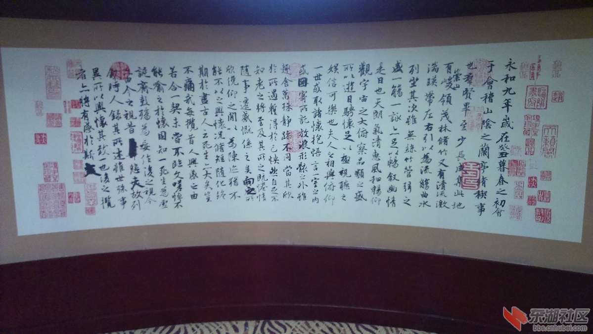 IMAG7005副本.jpg