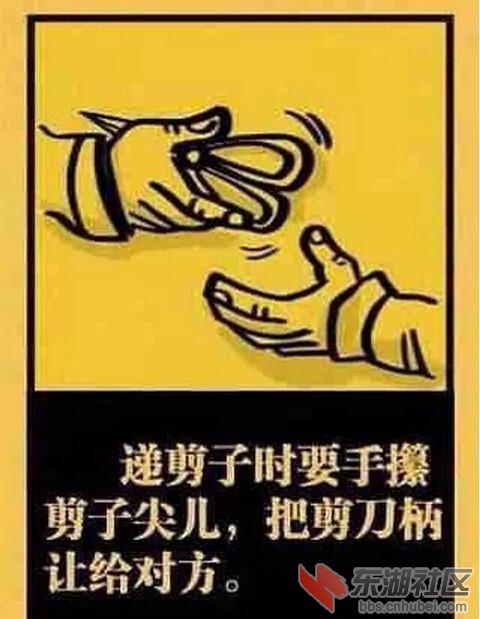 p5553597a478185635-ss.jpg