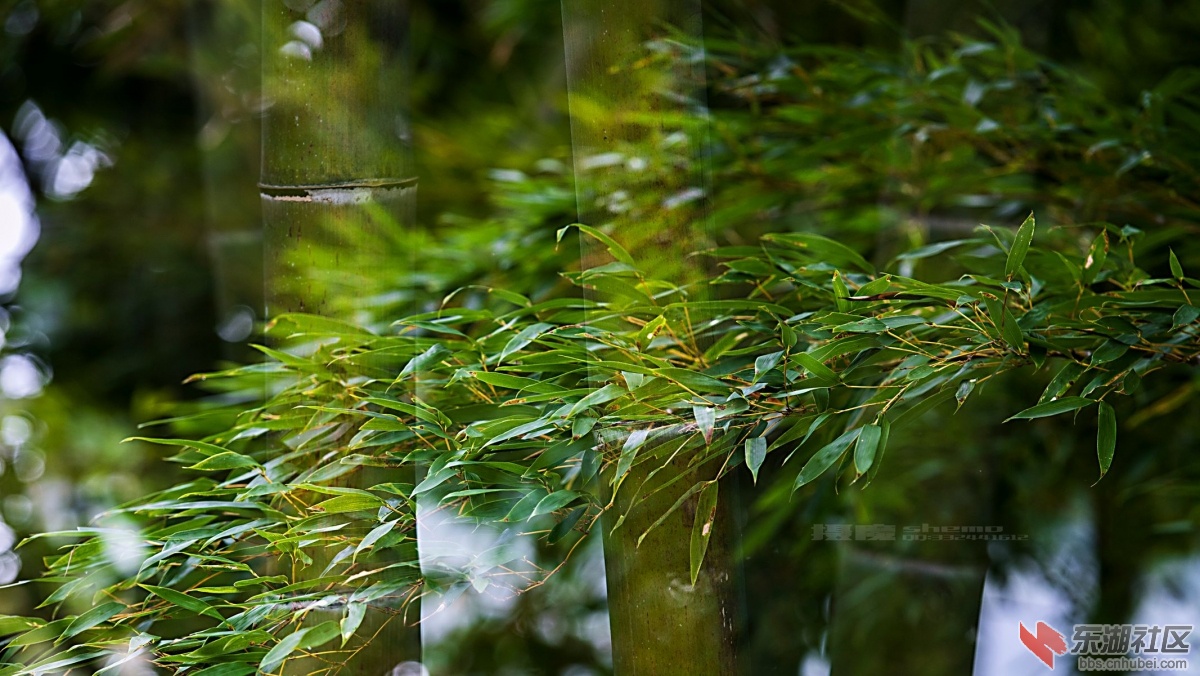 DSC_4146_副本.jpg