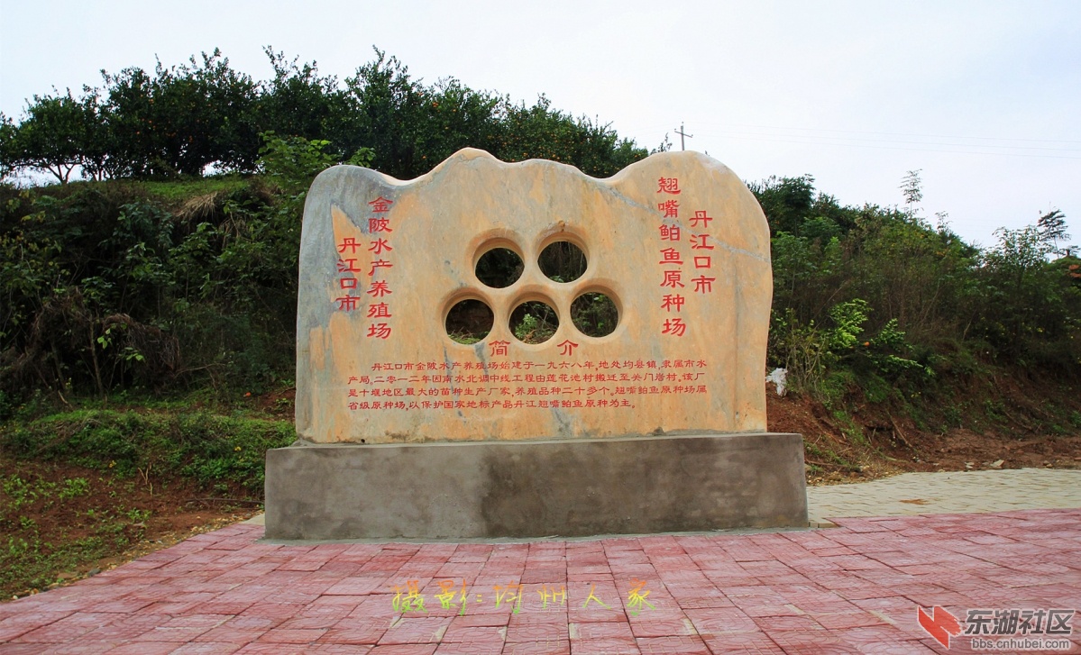 6869.jpg