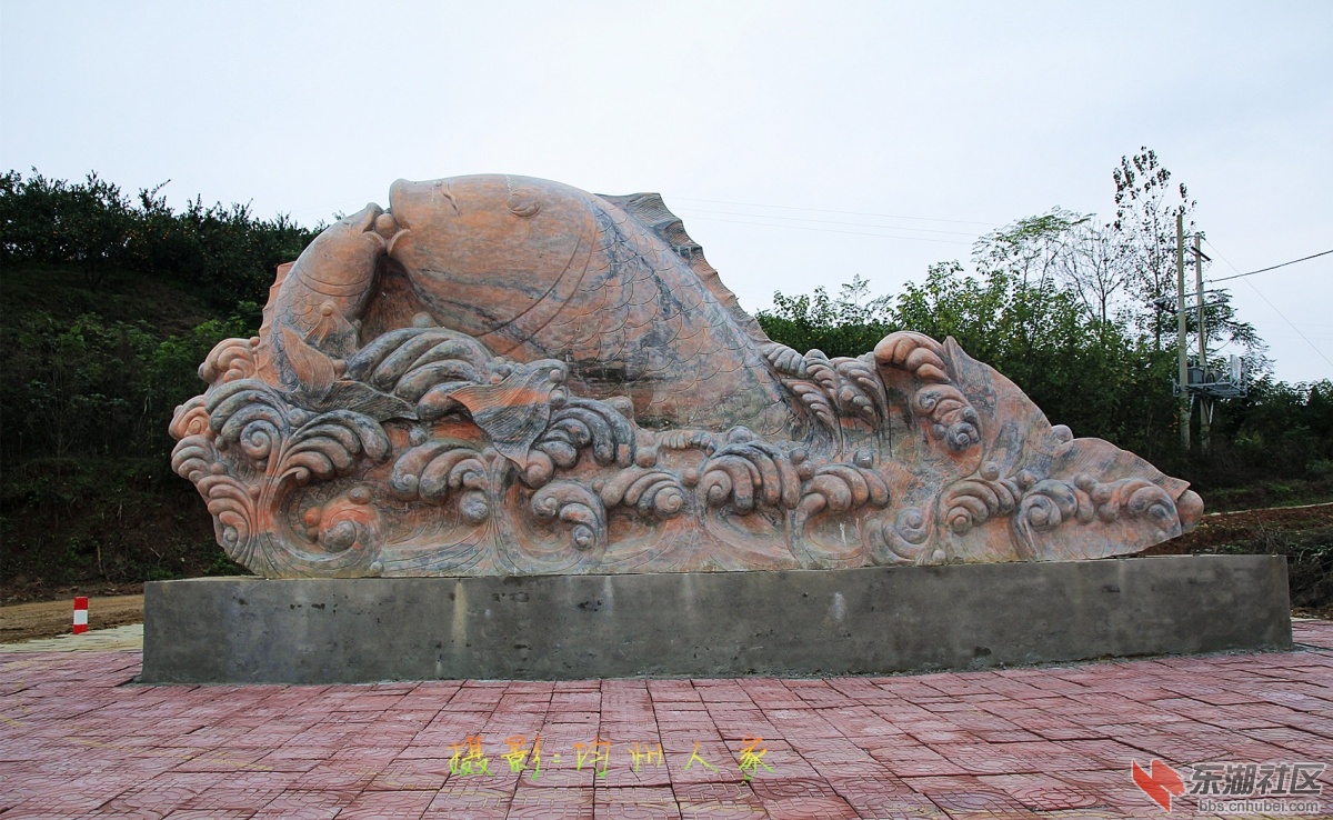 6870.jpg