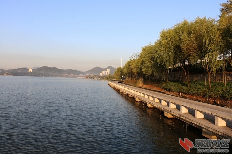 05.jpg
