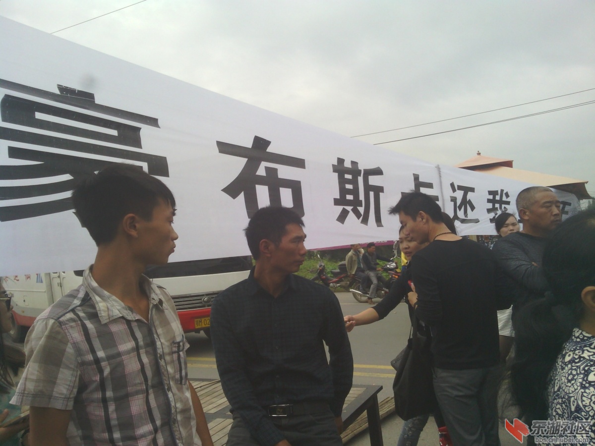 IMG_20140930_113212.jpg