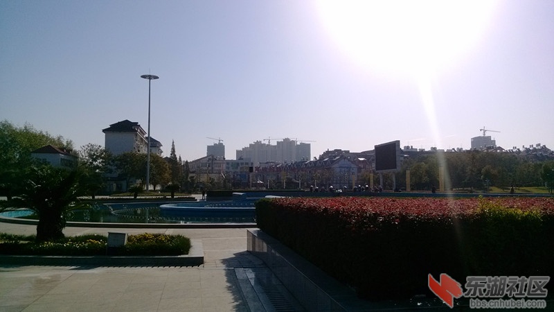 IMG_20141103_091045_副本.jpg