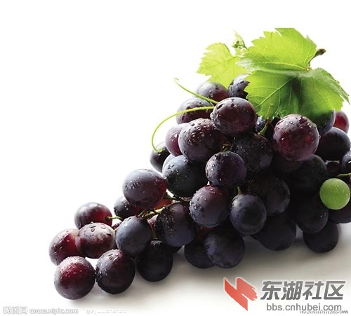 葡萄.jpg