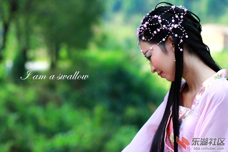 美丽的燕子X.jpg