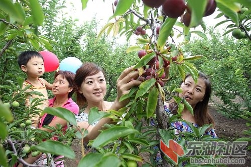 襄阳中华紫薇园