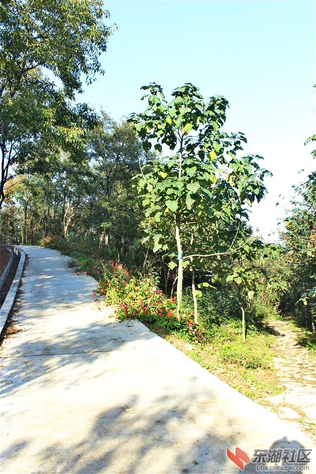 psb_meitu_39.jpg