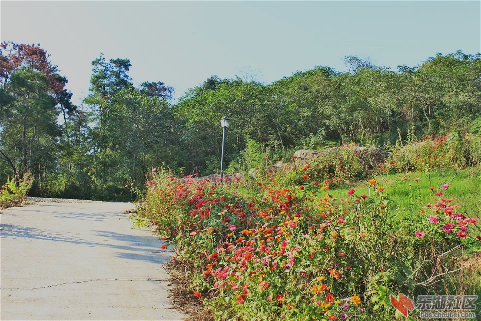 psb_meitu_43.jpg