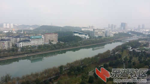 20141106_102732.jpg