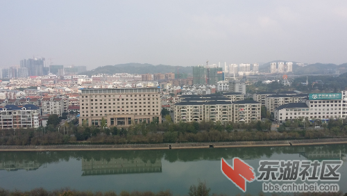 20141106_103250.jpg