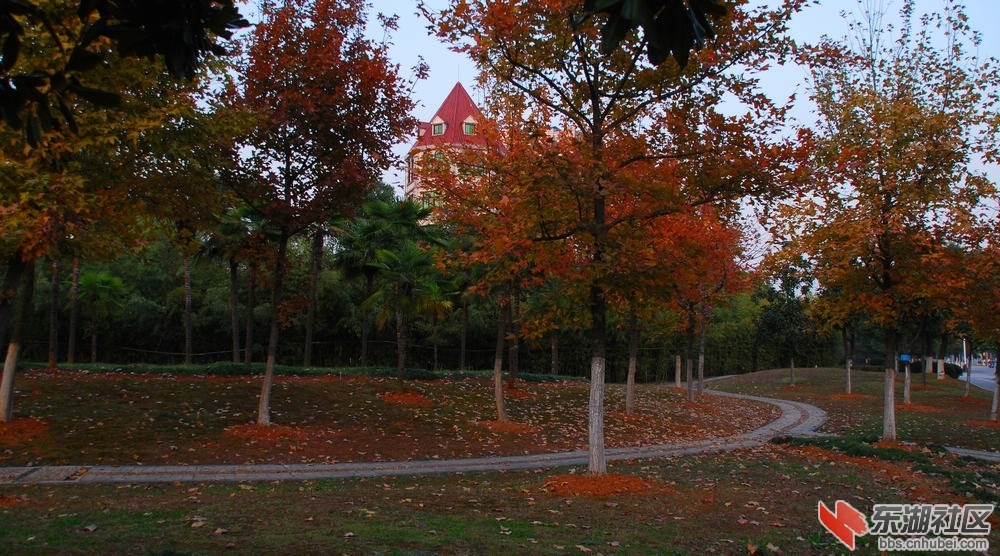 磁湖1