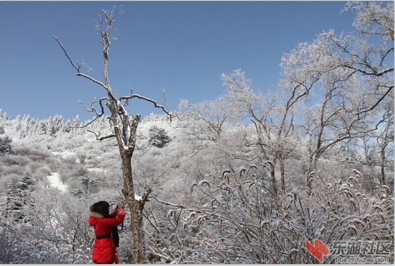神农架赏雪过大年