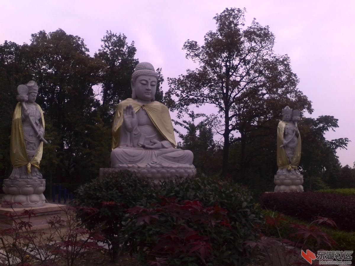 IMG_20141016_152133.jpg
