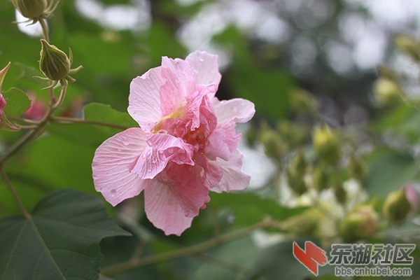 IMG_0699 副本.jpg