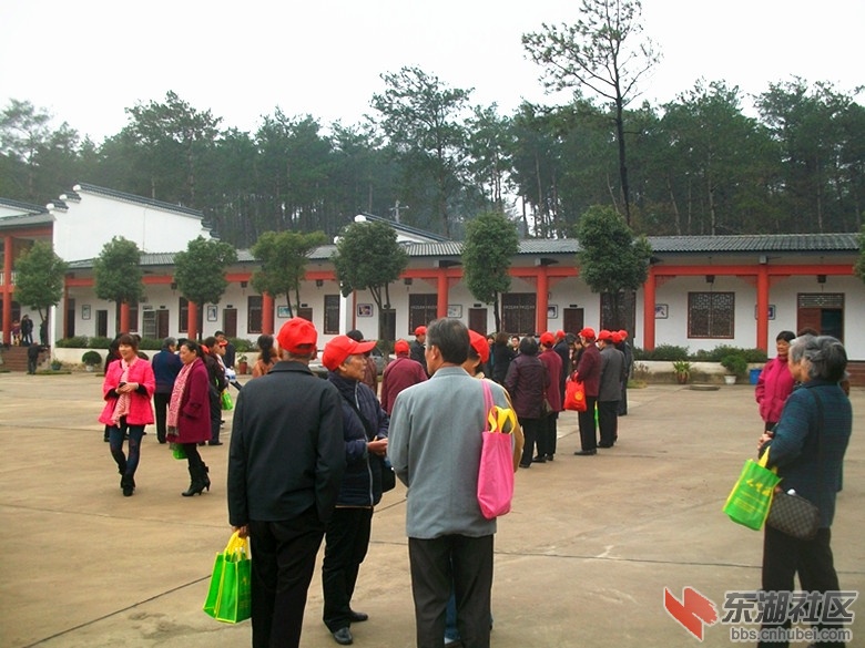 ALIM9620_副本.jpg