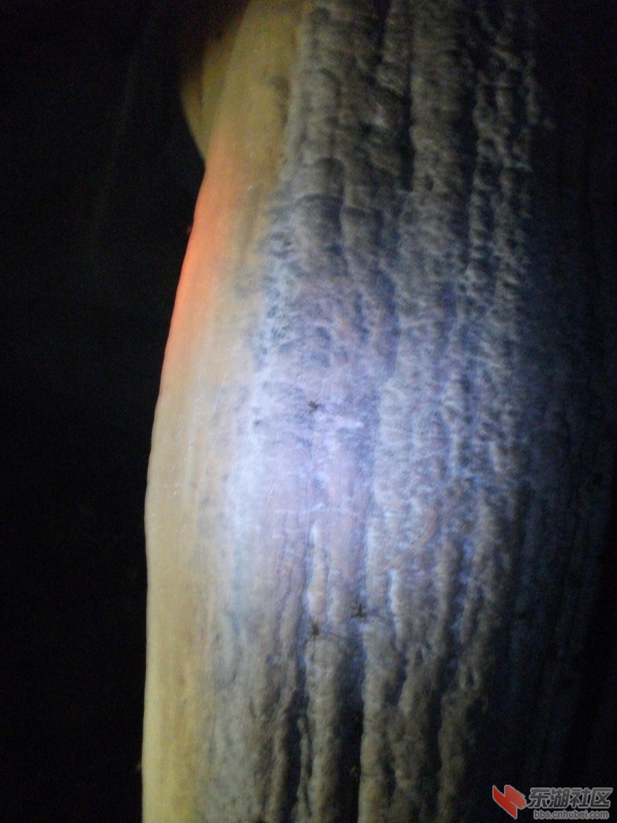 DSCF3429.JPG