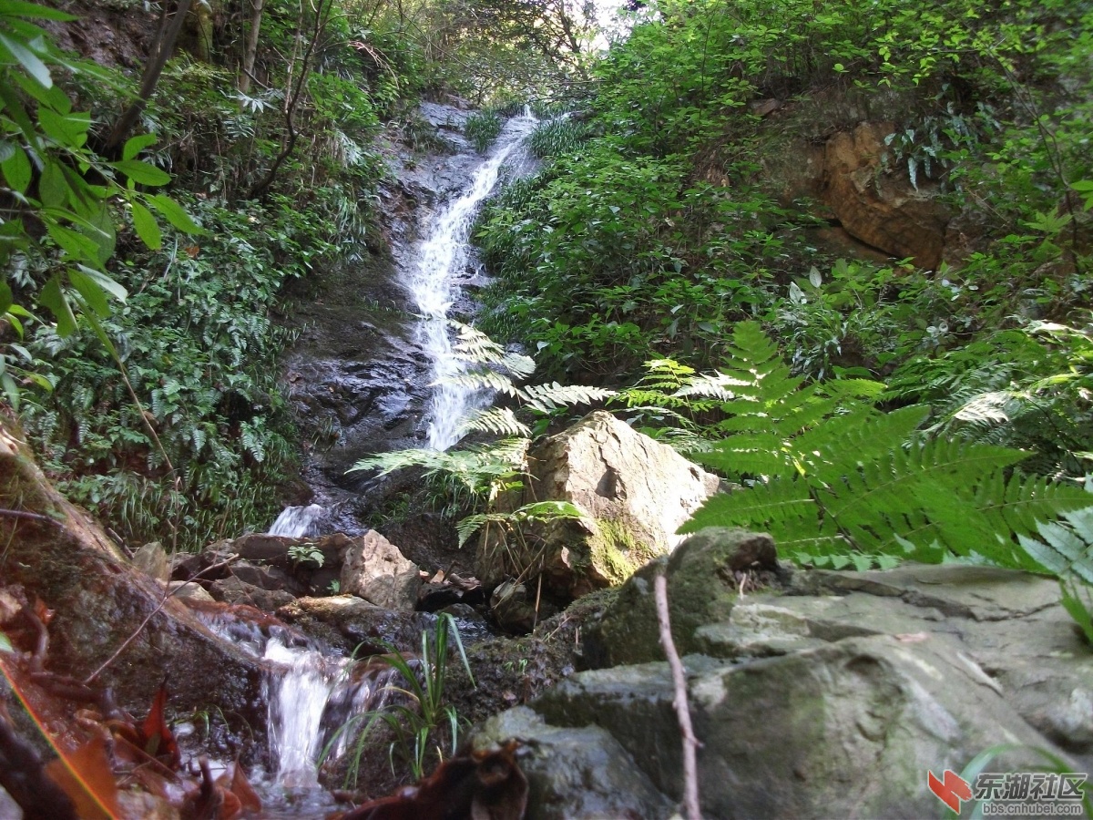 DSCF3501.JPG