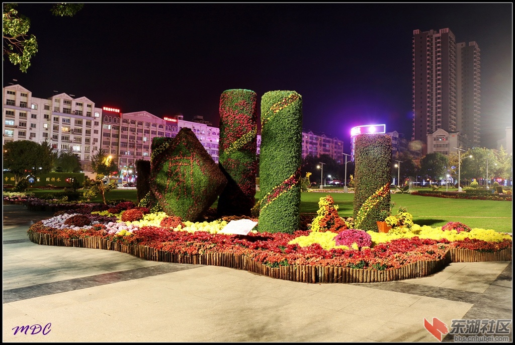 2014菊展夜拍01.jpg