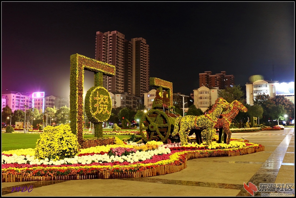 2014菊展夜拍03.jpg