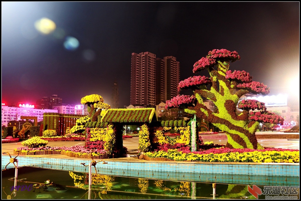 2014菊展夜拍04.jpg