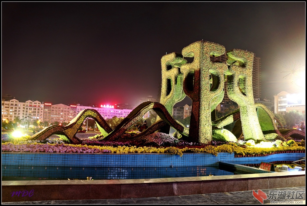2014菊展夜拍05.jpg