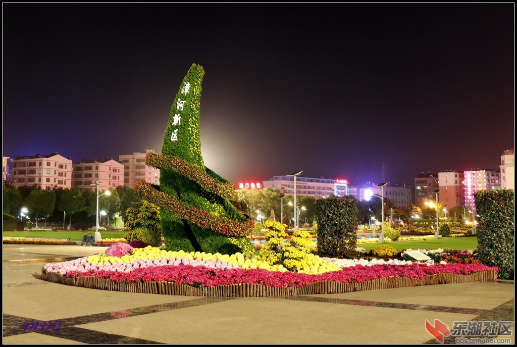 2014菊展夜拍07.jpg