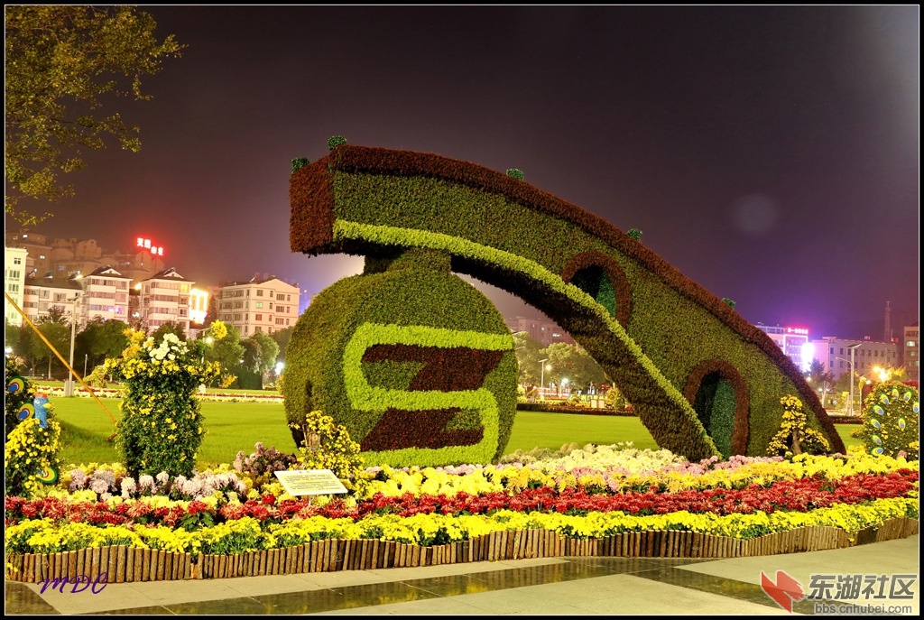 2014菊展夜拍09.jpg