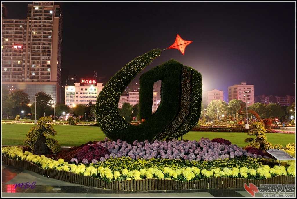 2014菊展夜拍10.jpg