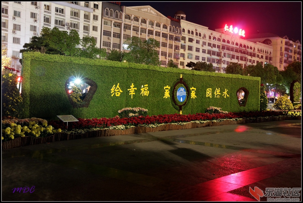 2014菊展夜拍13.jpg
